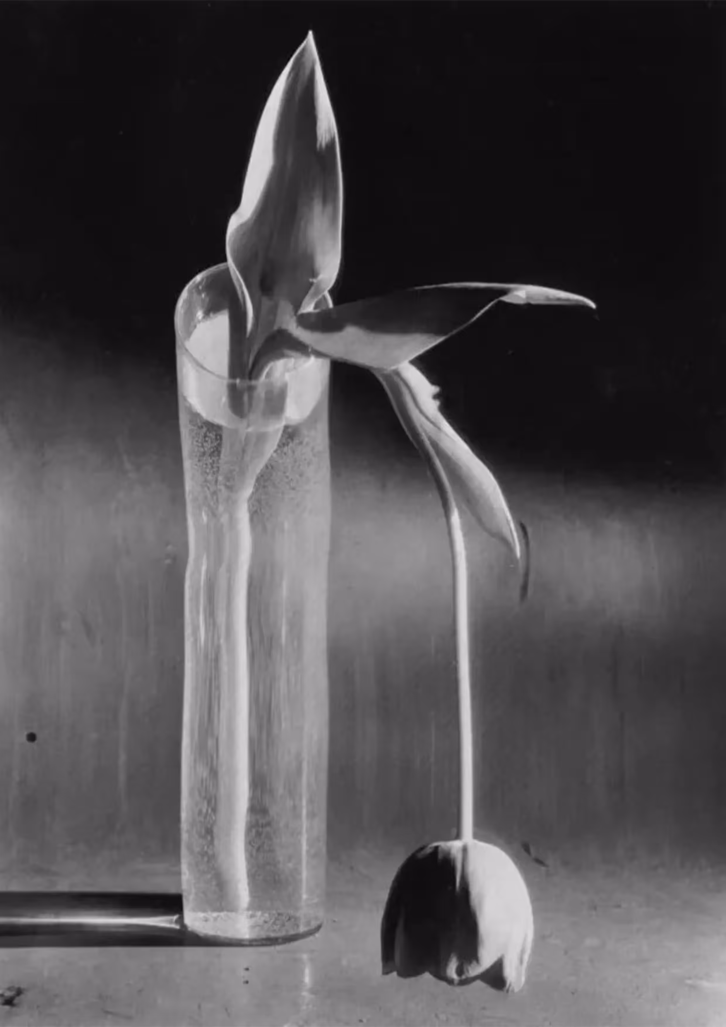 RODERIC WONG gallery 3